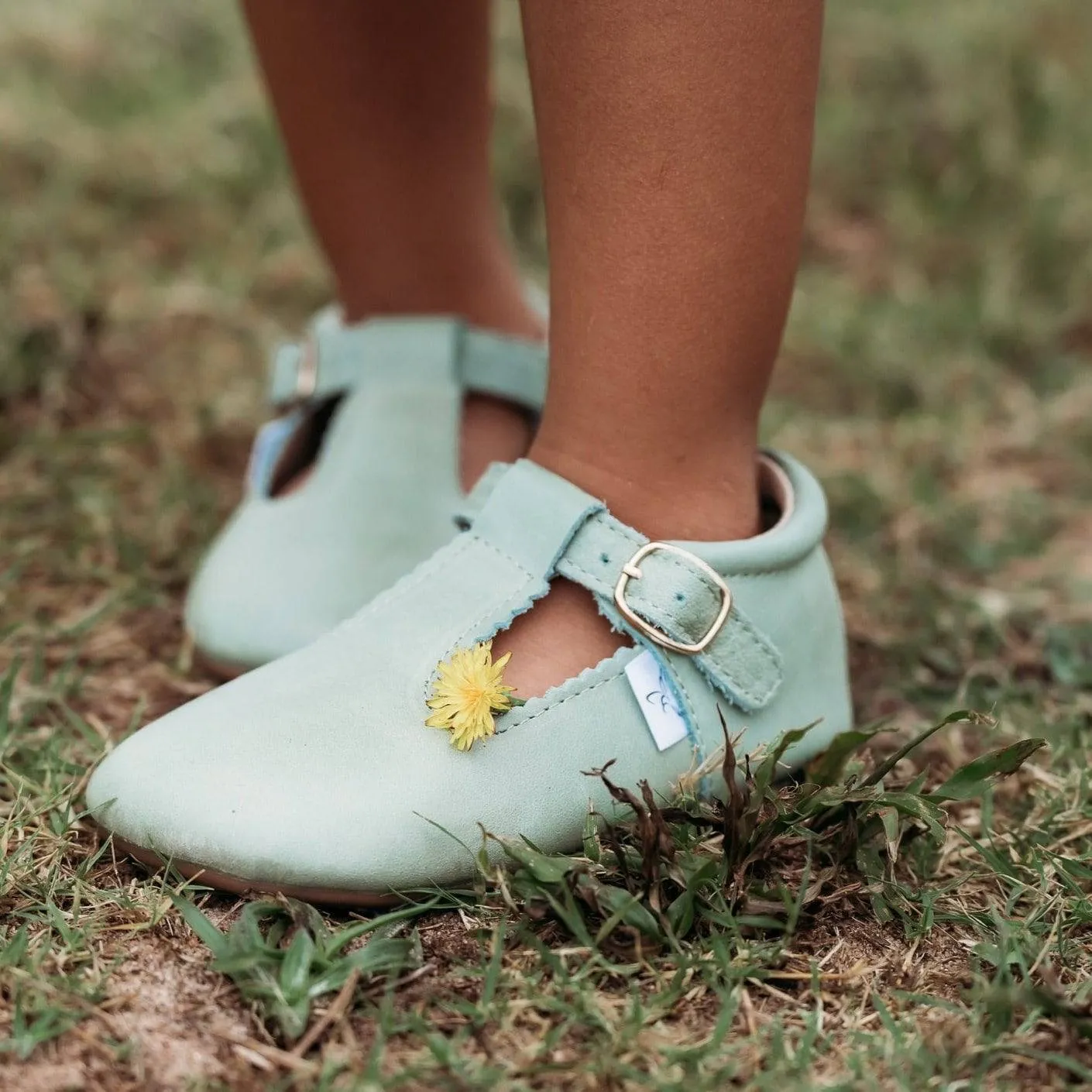 The T Bar Premium Leather Shoe